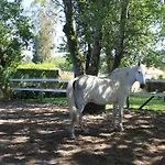 Nyaraló Casa De Sao Silvestre