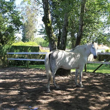 펜션 Casa De Sao Silvestre