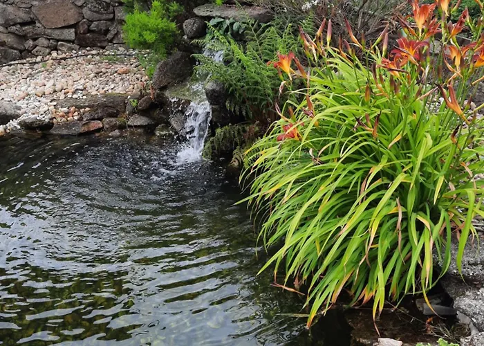 Casa De Sao Silvestre *